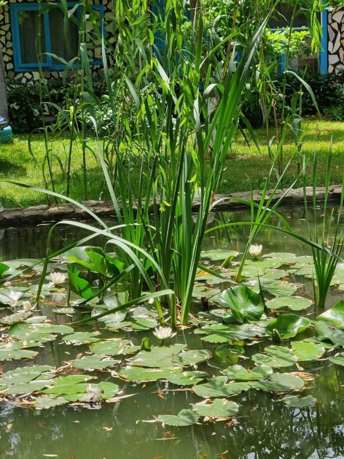 Maison d'hôtes Pensiunea Iubire De Delta 