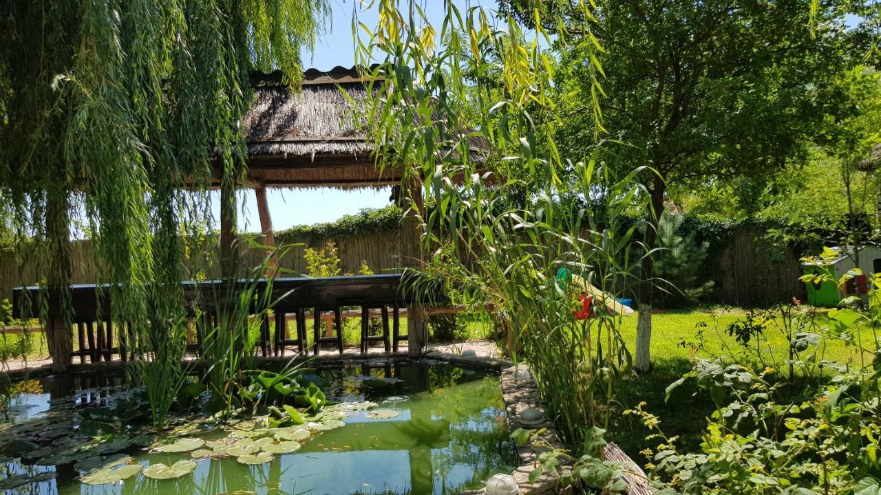 Maison d'hôtes Pensiunea Iubire De Delta 