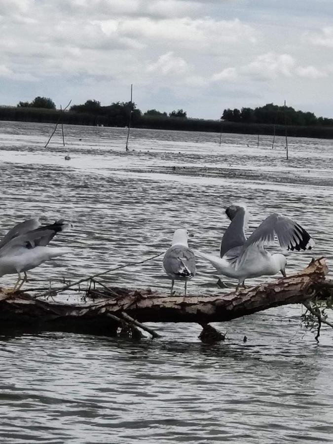 Pensiunea Iubire De Delta 